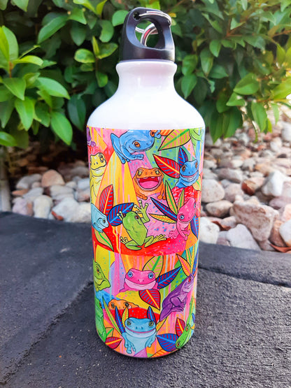 Frog Moods 600ml Aluminium Water Bottle