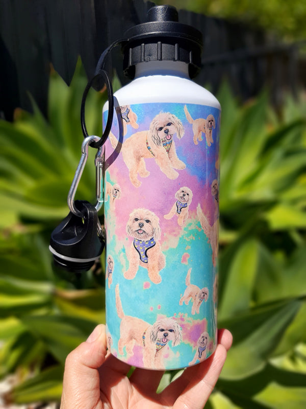 Krazy Jazz 600ml Aluminium Water Bottle