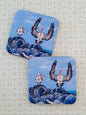 Rock n Pelicans Coaster