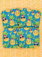 Sweet Pineapples Coaster