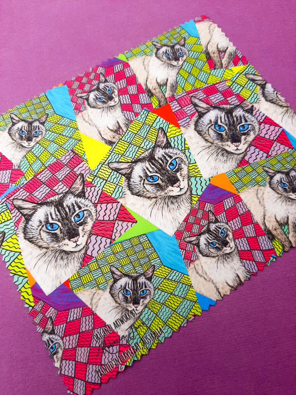 Zak the Cat Lens Cloth