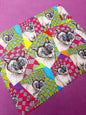 Zak the Cat Lens Cloth