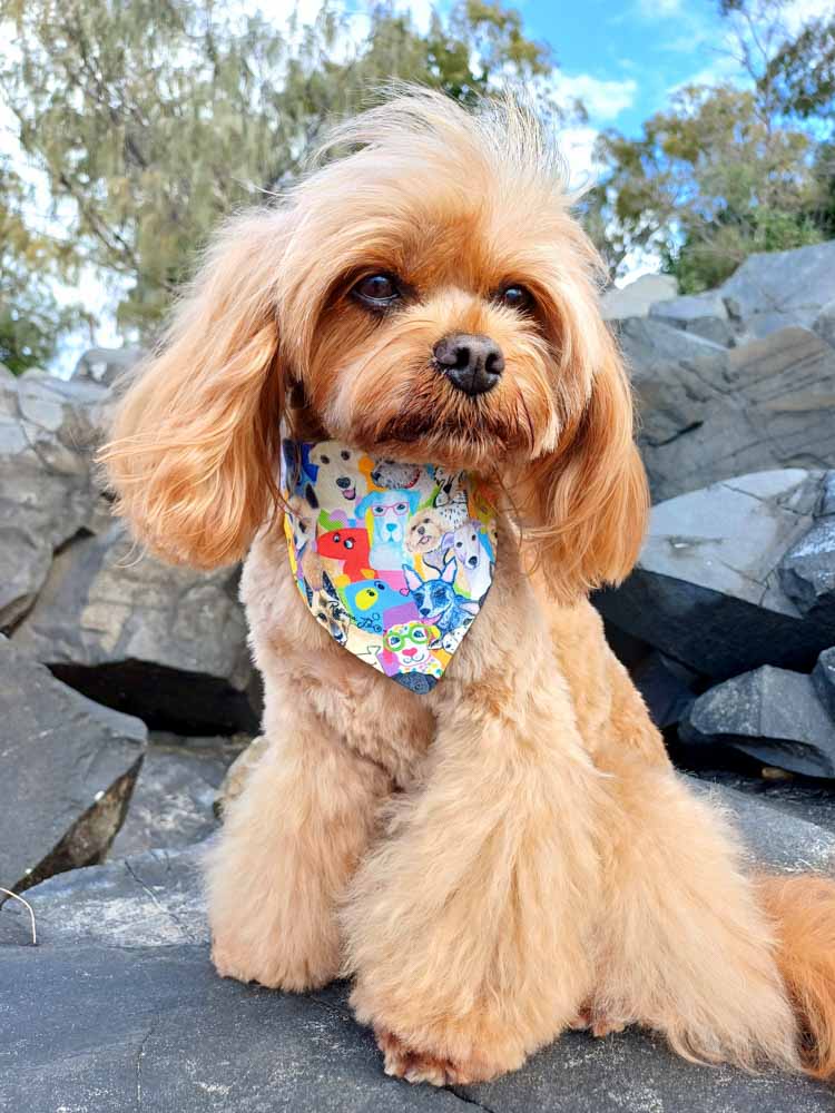 Dashing Dogs Pet Bib