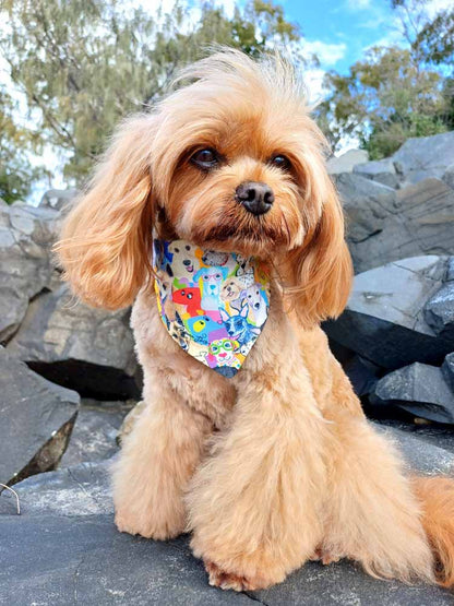 Dashing Dogs Pet Bib
