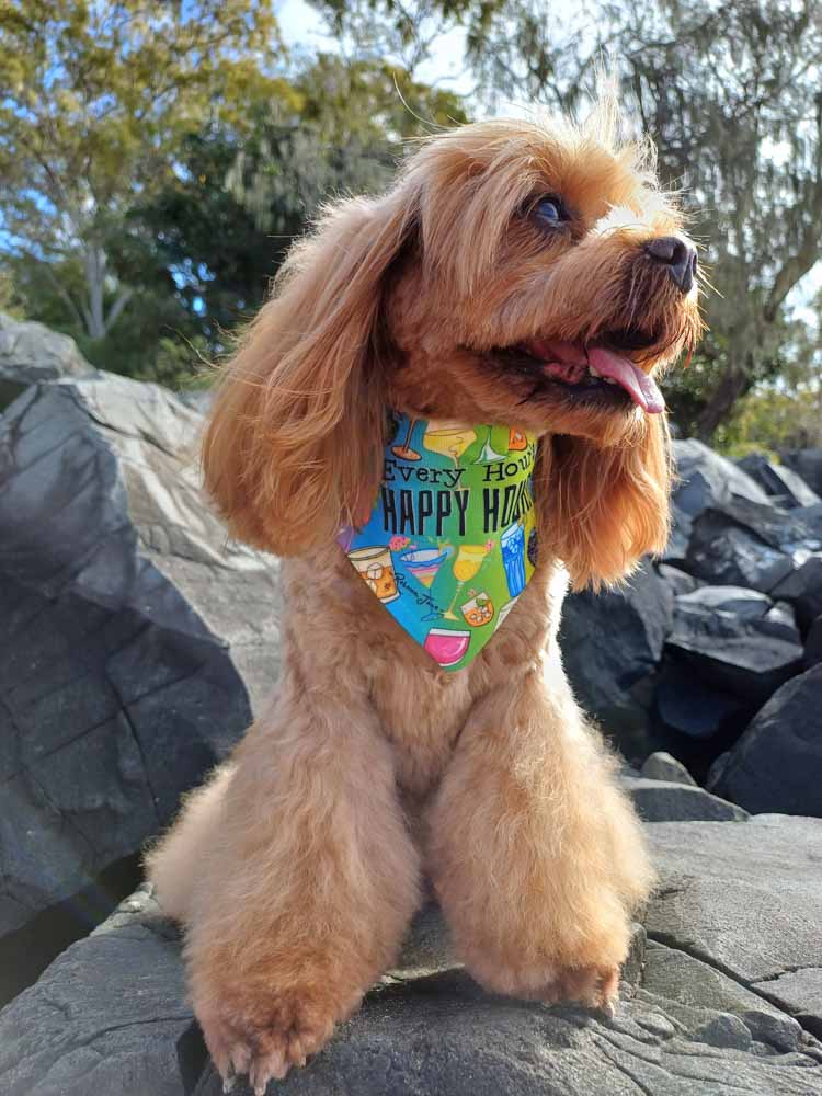 Happy Hour Pet Bib