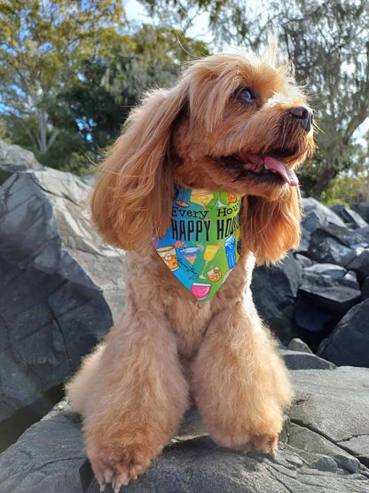 Happy Hour Pet Bib