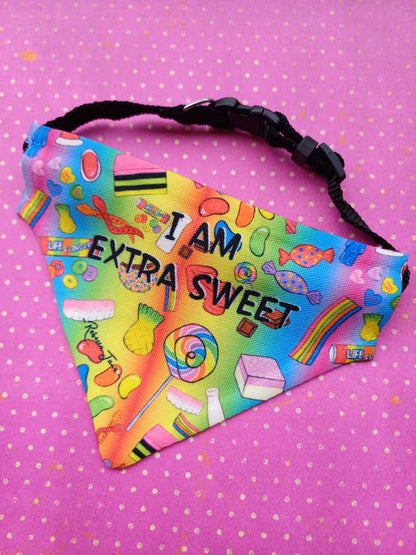 Sweet Treats Pet Bib