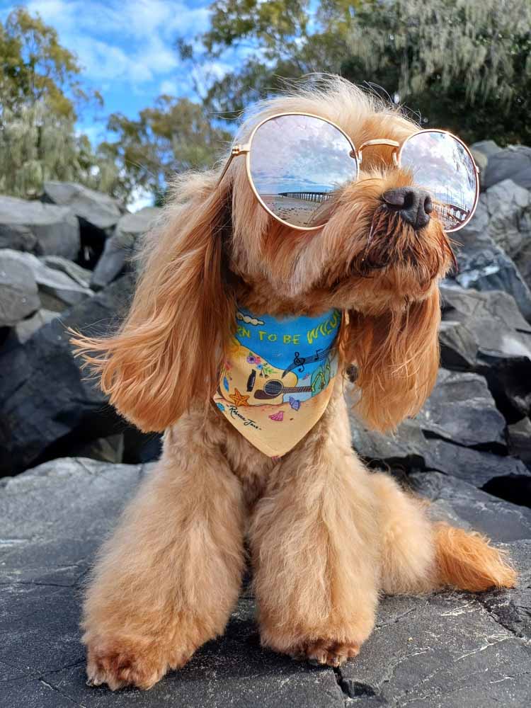 Tunes by the Sea Pet Bib